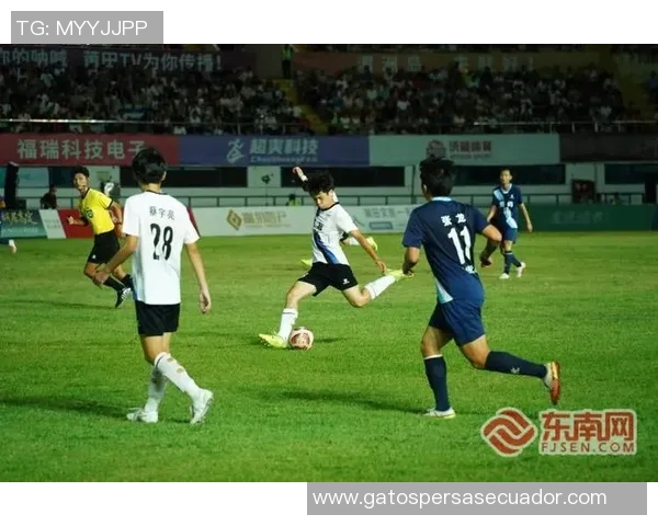 秀屿区青少年足球比赛精彩直播全程回顾与赛况分析