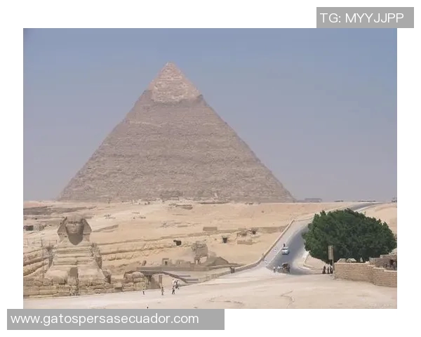 瑞纳达的魅力探秘：揭开这座城市的历史与文化面纱