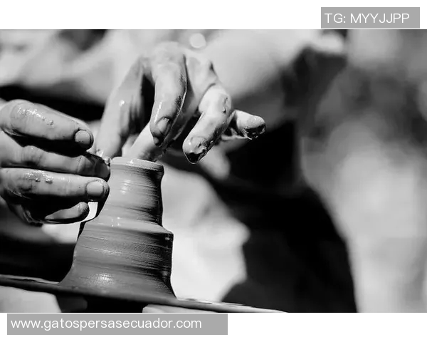 老瓦的故事：一位匠人如何在岁月中雕刻出生活的美好与坚韧