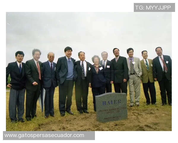 韩召善的传奇人生与时代变迁中的坚韧精神探索