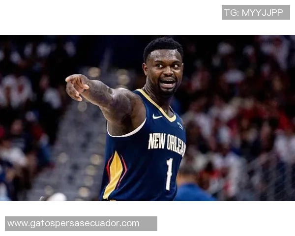 锡安体重问题引发关注鹈鹕队聘请营养师全天候监督饮食管理