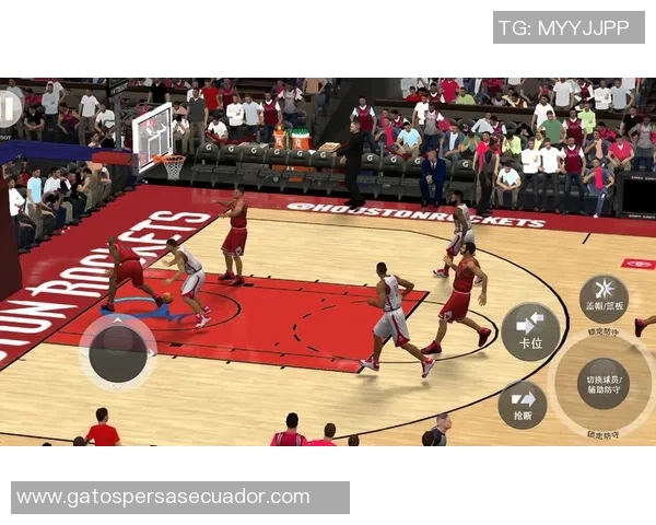 麦迪与乔丹经典对决视频下载回顾篮球传奇瞬间